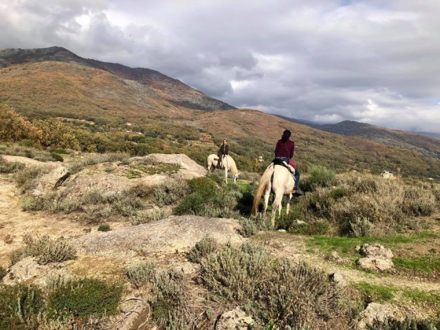 Caballos en la naturaleza
