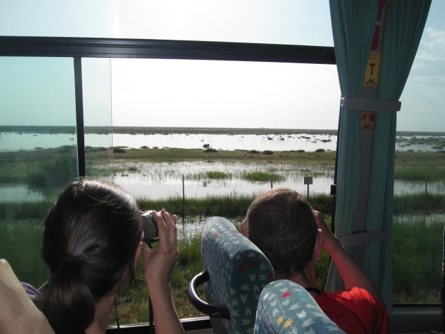 Visita al Parque Natural de Doñana