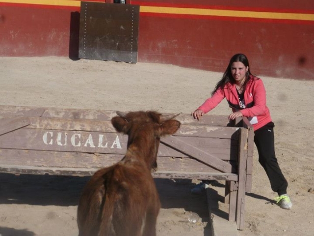 Capea en cucala Capea en cucala