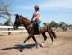 Cabalgatas Ibiza