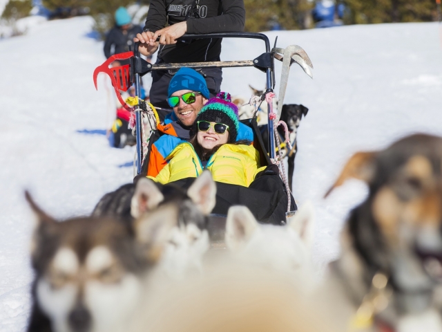 Disfrutando en el trineo de mushing