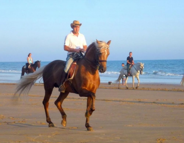 A caballo junto al mar