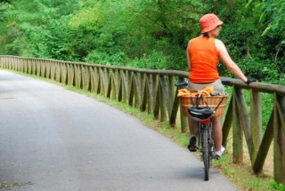 Renta de bicicleta de paseo en Teruel 1 día