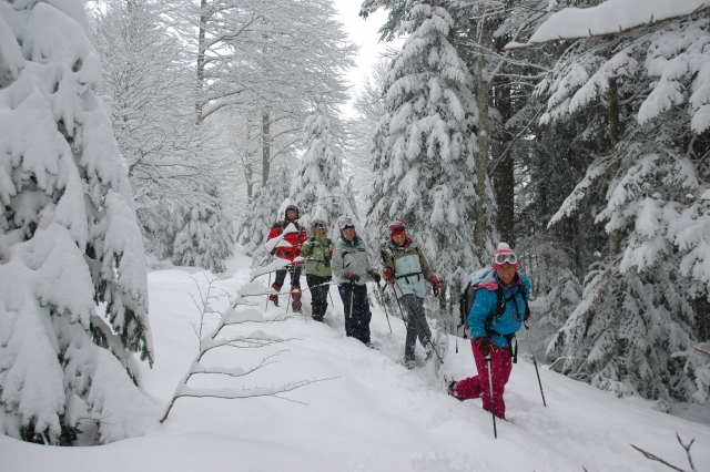 Expedicion con raquetas de nieve