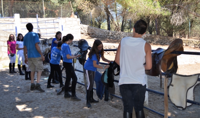 Listos para subir a caballo