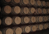 Visita bodega Murcia con camarra Jumilla