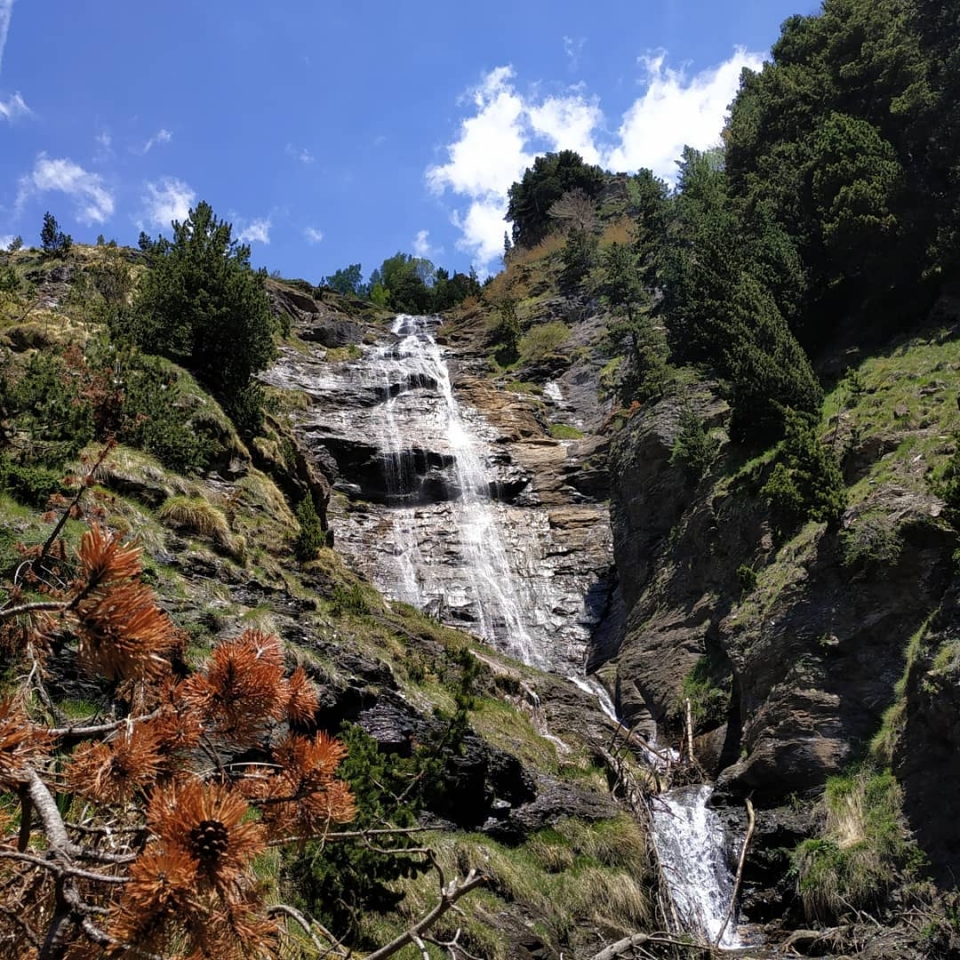 Naturaleza del Pirineo