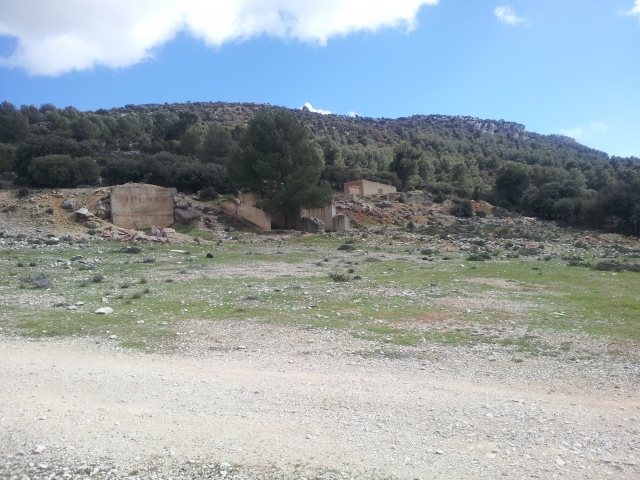 Campo para el gotcha