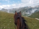 Cabalgatas Camprodon