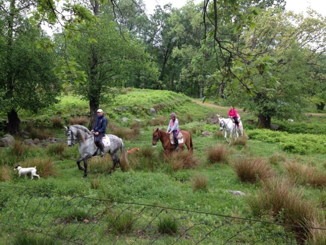 Paseo a caballo