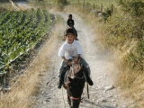 Pony para niños en Andorra 30 minutos