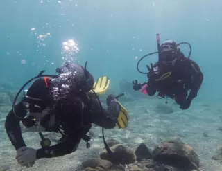 Inmersión de buceo en la costa de Málaga