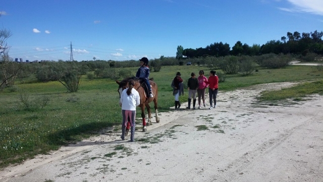 Paseo en pony por El Pardo, 30 minutos