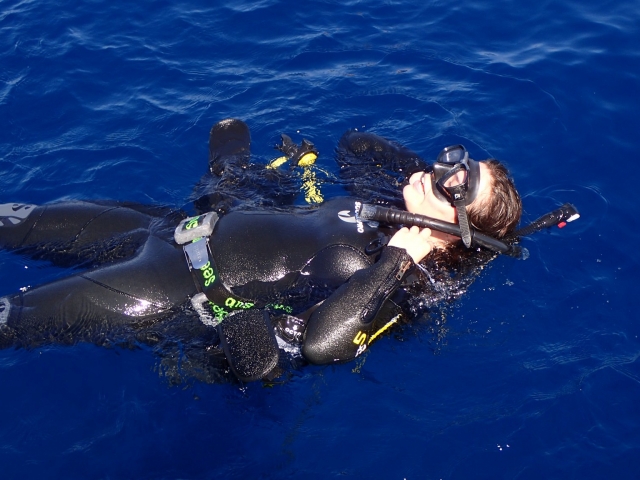 PADI Open Water Diver en Santa Ponça, 3-4 días