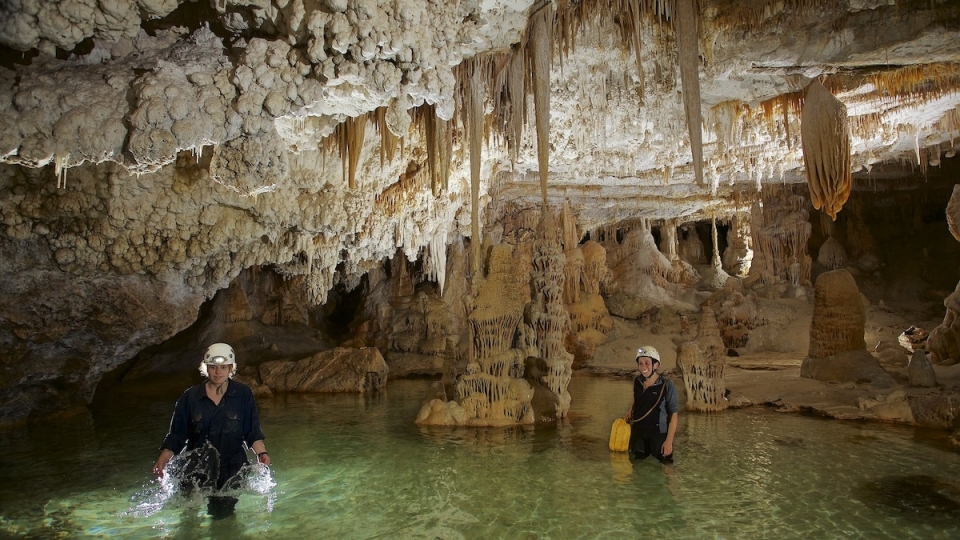 Espeleología en Cova des Coloms Espeleología en Cova des Coloms