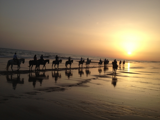 Atardeces magicos en la playa