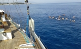 Paseo en barco en la Costa del Sol 2 horas Niños