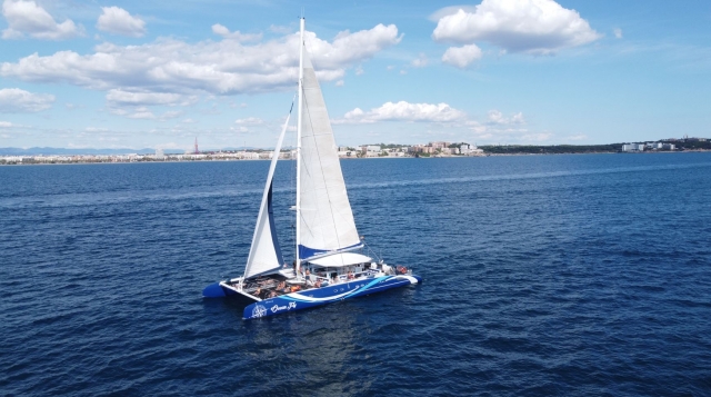 Catamarán a vela