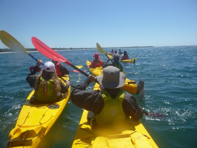 Kayak de mar