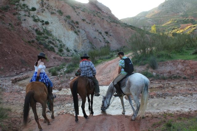 Caballos bebiendo en el arroyo