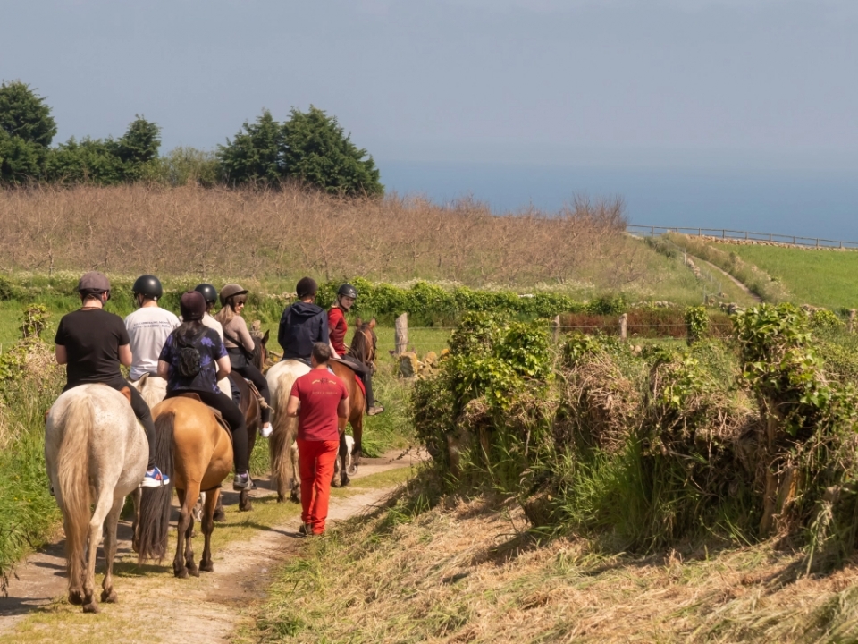 Un paseo en caballo con amigos