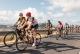 Renta de Bicicletas Adeje