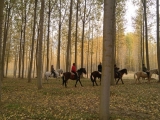 Cabalgamarra hasta el río Bernesga, 1 hora