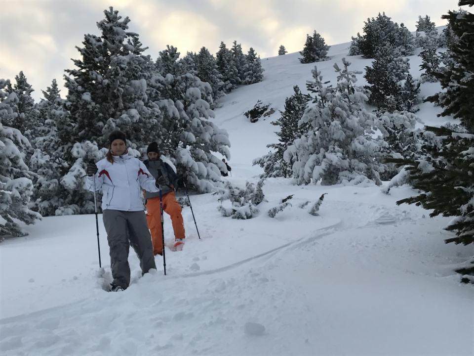 Raquetas de nieve