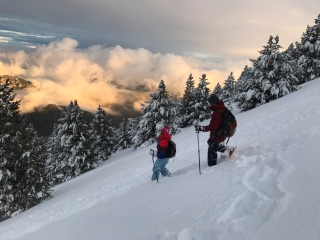 Ruta raquetas de nieve Mirador de Port del Comte