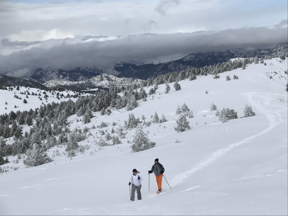 Paseo con raquetas de nieve pirineo catalán Paseo con raquetas de nieve pirineo catalán