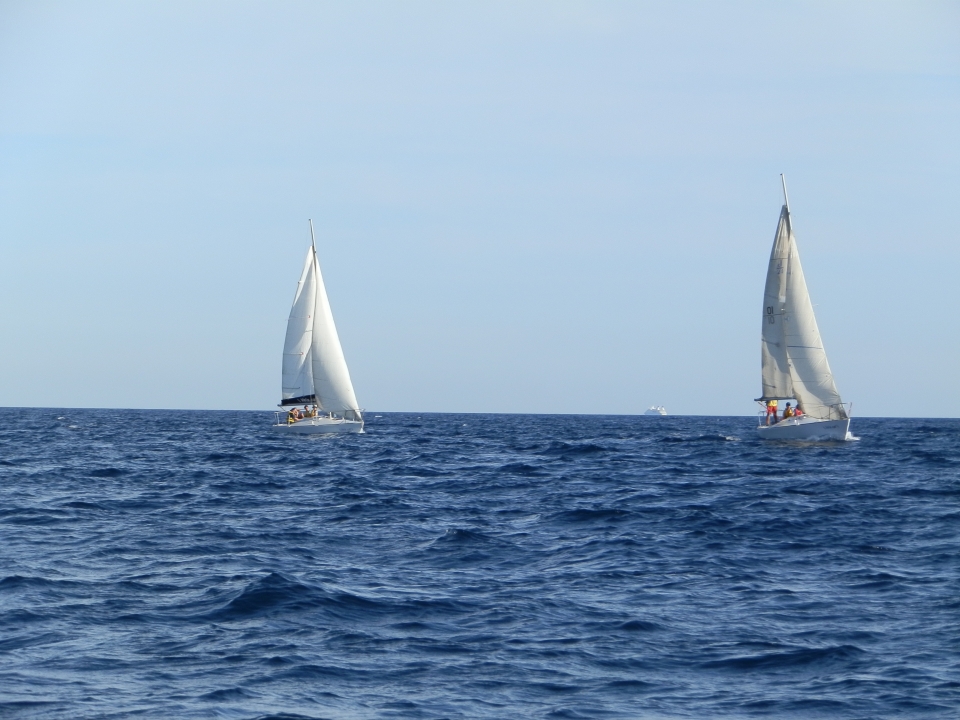Paseo en velero