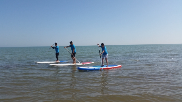 Renta paddle board en el Delta del Ebro 1 hora