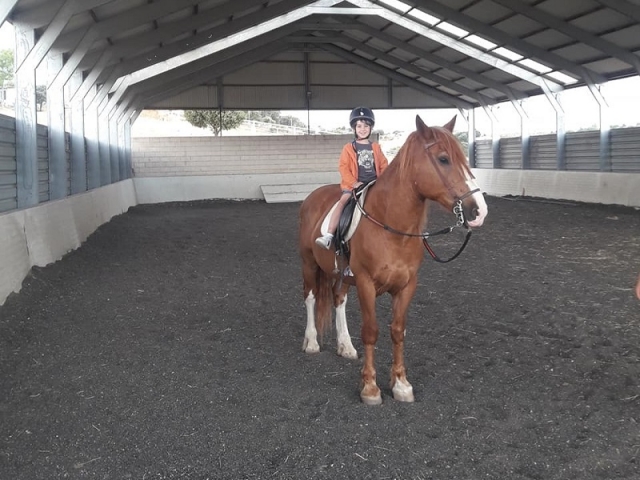 Cumpleaños con caballos para Niños Colmenar Viejo