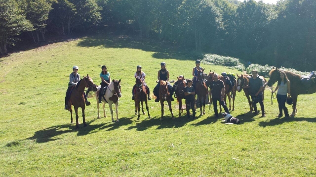 Excursiones en grupo