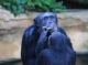 Zoológicos Málaga