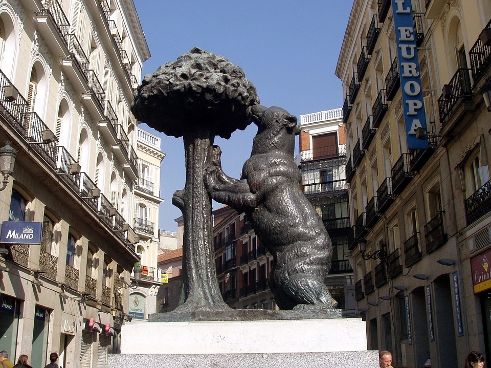 El oso y el madroño
