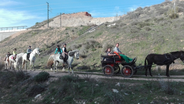 Caballos y carruaje