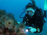 Curso de buceo Divemaster de PADI en Maspalomas