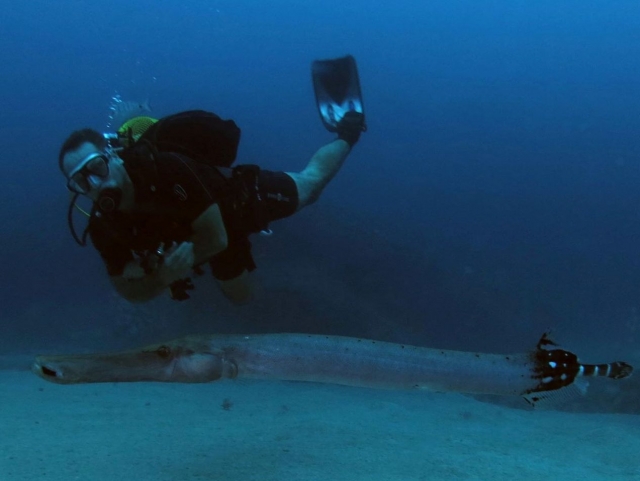 Curso de buceo Sidemount PADI Maspalomas