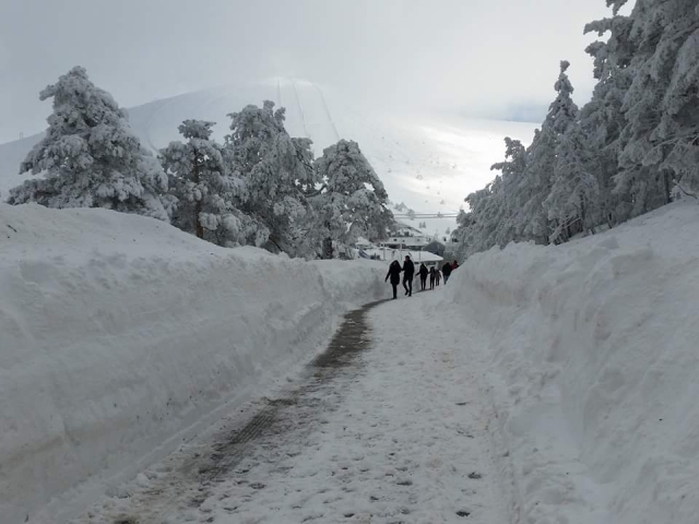 Camino de nieve