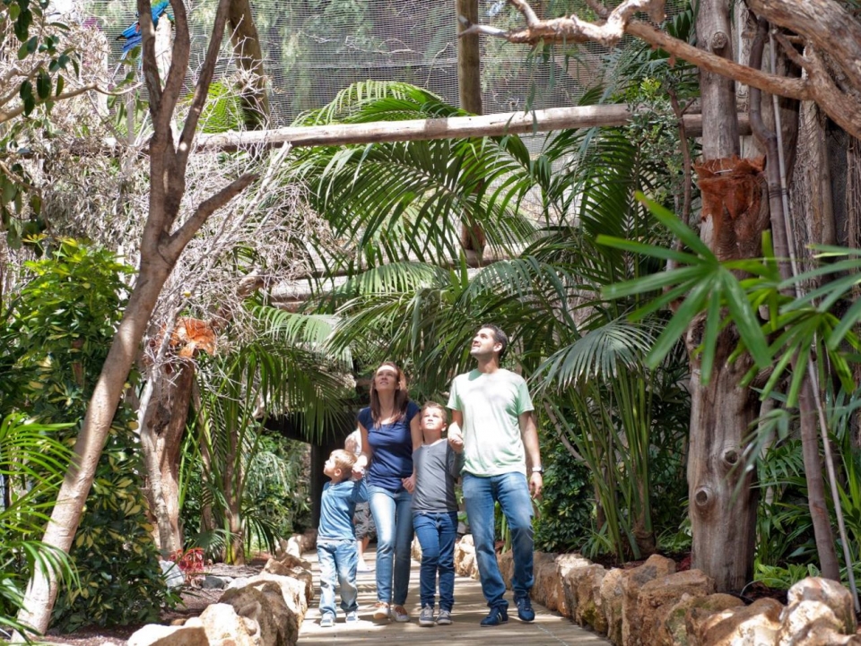 En familia admirando las aves exoticas En familia admirando las aves exoticas