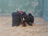 Gotcha +Gymkana Grand Prix Infantil Casarrubios