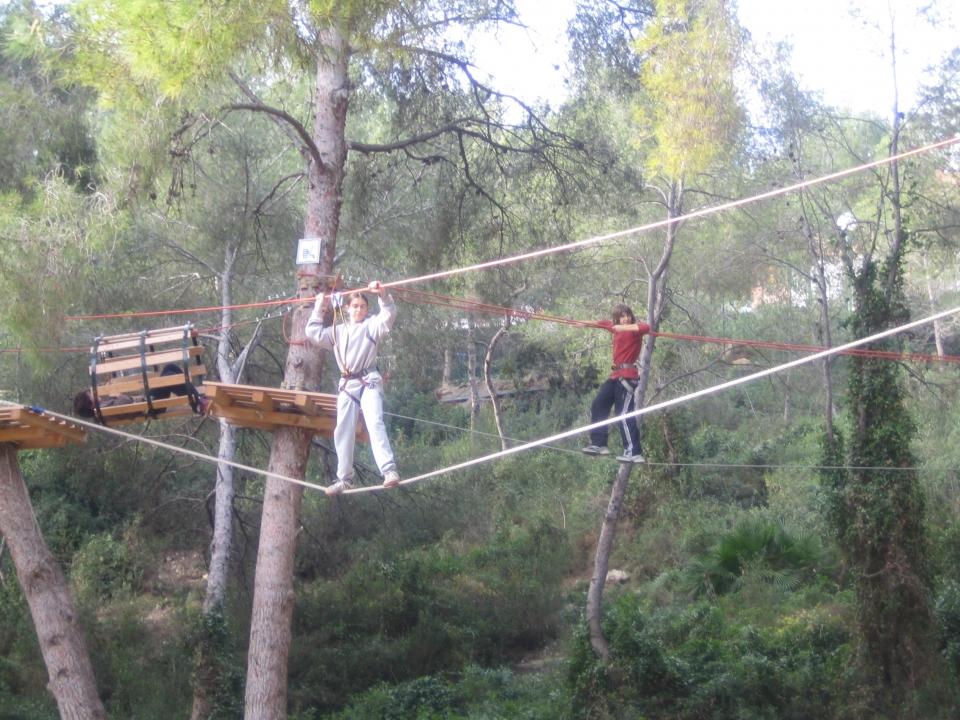 puentes puentes