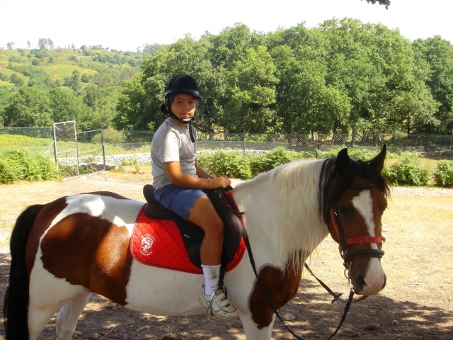 Campamento con actividades de hipica