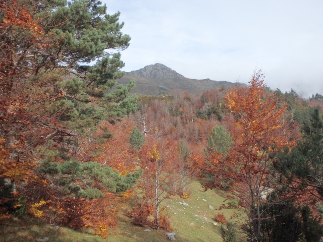 Camicrema por el Pirineo navarro desde Madrid