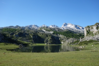 Excursión a los Lagos de Covadonga