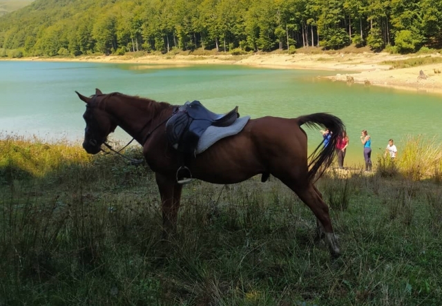 Disfrutando de la belleza de la zona a caballo