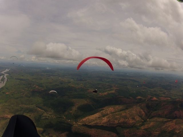 Disfrutando del vuelo