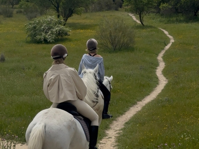 Ruta caballo privada Peñagrande+Dehesa Quemada, 1h