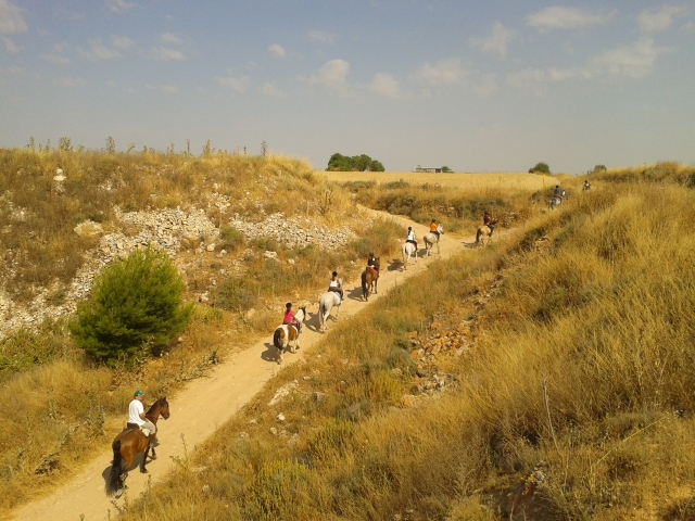 Cabalgamarra